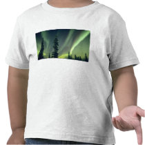 USA, Fairbanks area, Central Alaska, Aurora Tee Shirt