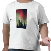 USA, Fairbanks area, Central Alaska, Aurora T-shirts