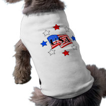 USA Flag and Stars