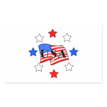 USA Flag and Stars