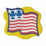 Usa Flag Embroidered Shirt