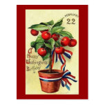 USA Geo Washingtons Birthday Post Card