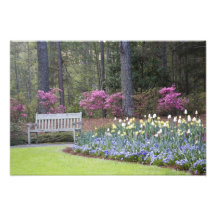 USA, Georgia, Pine Mountain. A border of Art Photo