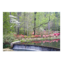 USA, Georgia, Pine Mountain. A small waterfall Photo Print