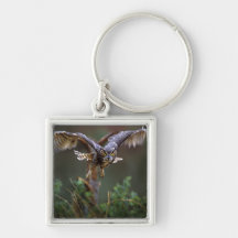 USA, Georgia, Pine Mountain, Callaway Gardens. Key Chain