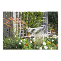 USA, Georgia, Pine Mountain. Chair in the Photograph