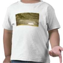 USA, Georgia, Savannah, An oak lined drive in T-shirt
