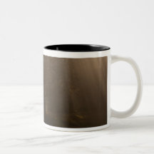 USA Great Smoky Mountain NP Tennessee trees in Mug