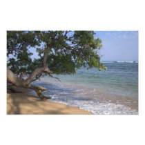 USA, Hawaii, Kauai, beach scenic. RF)