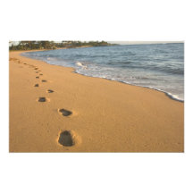 USA, Hawaii, Kauai, Kapa'a, beachfront. RF) Photograph