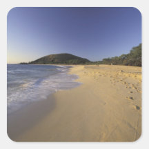 USA, Hawaii, Maui, Footprints in sand, Makena Square Sticker