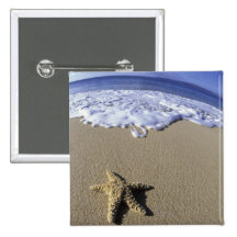 USA, Hawaii, Maui, Makena Beach, Starfish and Pinback Buttons