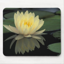 USA, Kentucky, Louisville Domestic water lily, Mousepad