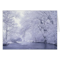 USA, Kentucky, Louisville. Snow covered Cards