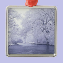USA, Kentucky, Louisville. Snow covered ornaments