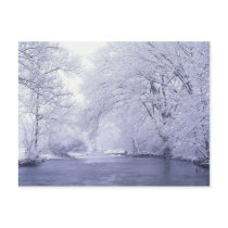 USA, Kentucky, Louisville. Snow covered Post Cards