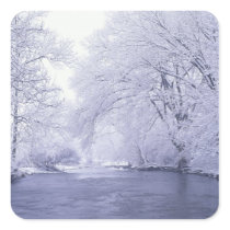 USA, Kentucky, Louisville. Snow covered Stickers