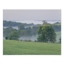 USA, Kentucky. Rolling hills of the Bluegrass