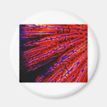 USA MAGNETS