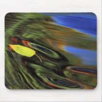 USA, Michigan, Birch leaf in river with autumn mousepads