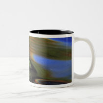 USA, Michigan, Birch leaf in river with autumn mugs
