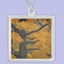 USA, Michigan, Close-up of sugar maple tree in necklaces