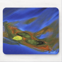 USA, Michigan, Upper Peninsula, birch leaf in mousepads