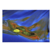 USA, Michigan, Upper Peninsula, birch leaf in Photo Art