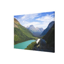 USA, Montana, Glacier National Park, Mountain Canvas Prints