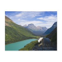 USA, Montana, Glacier National Park, Mountain Post Card