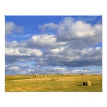 USA, Nebraska, Morrill County. Golden hay