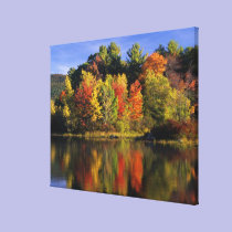 USA, New Hampshire, Moultonborough. Trees in canvas prints