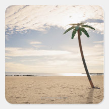 USA, New York City, Coney Island, palm tree on Sticker