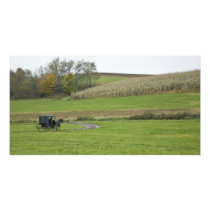 USA, Northeastern Ohio. Amish buggy on farm