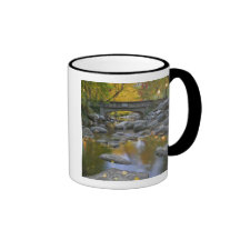 USA, Oregon, Ashland, Lithia Park. Autumn Mugs