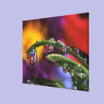 USA, Oregon, Close-up abstract of purple canvas prints