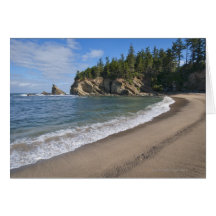 USA, Oregon, coastline Cards