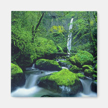 USA, Oregon, Columbia River Gorge National 2 Refrigerator Magnet