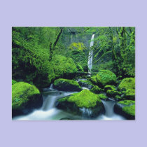 USA, Oregon, Columbia River Gorge National 2 postcards