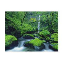 USA, Oregon, Columbia River Gorge National 2 Post Card