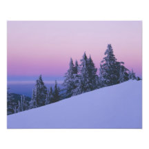 USA, Oregon, Deschutes National Forest, Dusk Photo Print