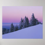 USA, Oregon, Deschutes National Forest, Dusk Print