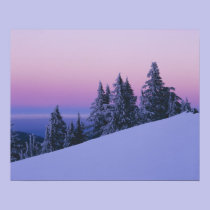 USA, Oregon, Deschutes National Forest, Dusk posters