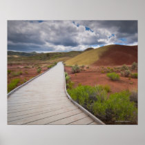 USA, Oregon, Mitchell, Pathway among Painted Print