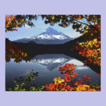USA, Oregon, Mt. Hood National Forest. posters