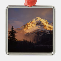 USA, Oregon, Mt. Hood National Forest. Rolling Ornament