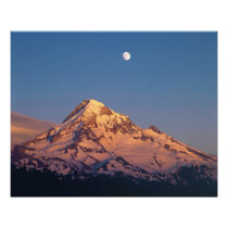 USA, Oregon, Mt Hood. Sunset creates alpenglow