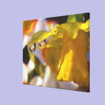 USA, Oregon, Multnomah County, Close-up of canvas prints