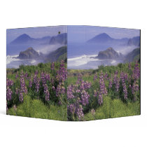 USA, Oregon, Nesika Beach. Lupine and Oregon Binders