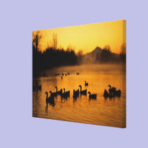 USA, Oregon, Portland. Waterfowl in Columbia canvas prints